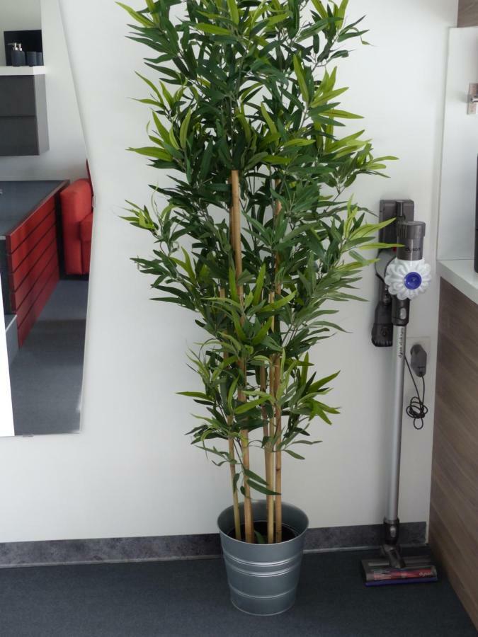 Appartement Volcaloft